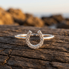 Crystal Luck Silver Cubic Zirconia Statement Ring